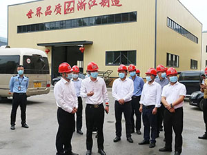 热烈欢迎丽水市副市长叶伯军一行莅临集团青田铸造基地视察指导