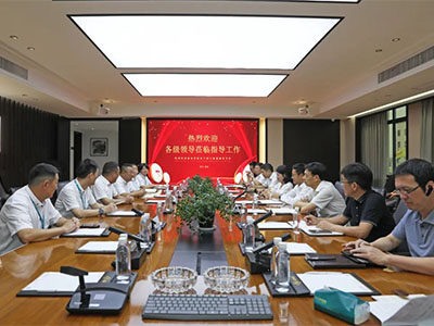 拼经济 促发展！温州湾新区党工委副书记谢忠诚率队赴集团开展调研督导活动